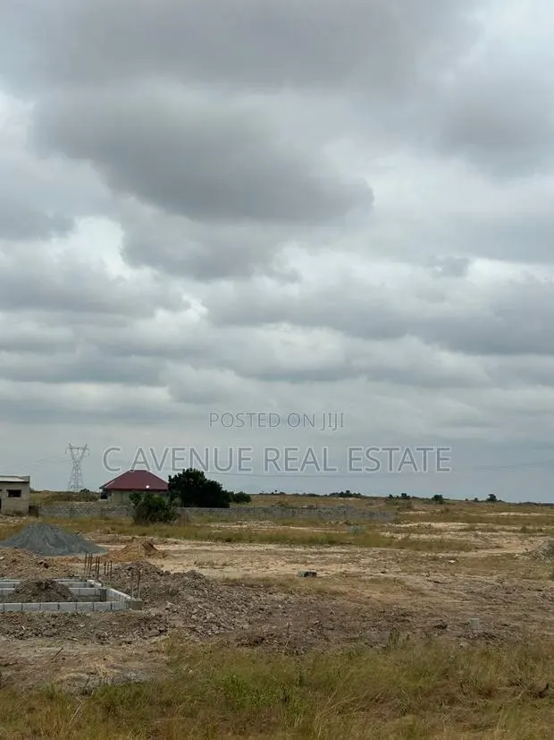 Build Your Family’s Secure Legacy With a Full Plot in Tsopoli · Photo 1