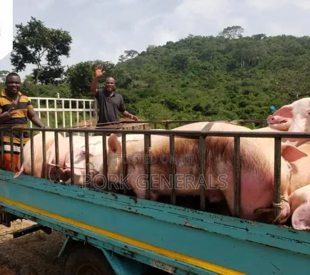 Fresh Pork Available · Photo 2