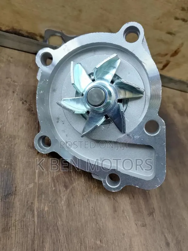Hyundai Santa Water Pump 2012 Going · Photo 1