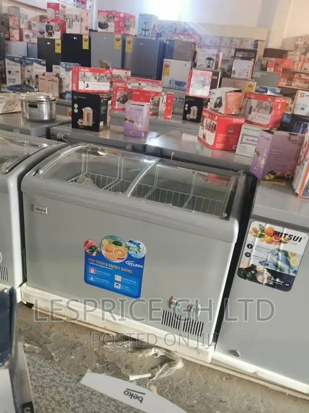 Delron 258L Showcase Freezer · Photo 1