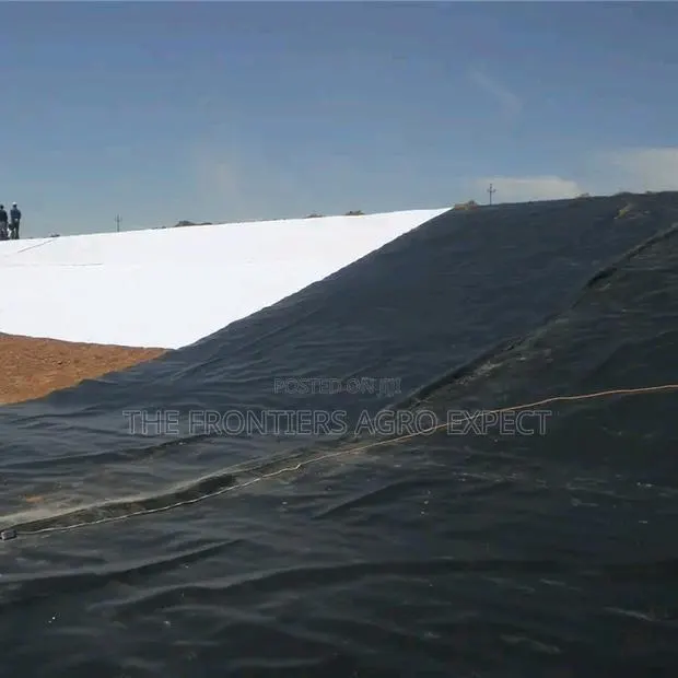 Hdpe Geomembran Dam Liner (400microns) · Photo 1