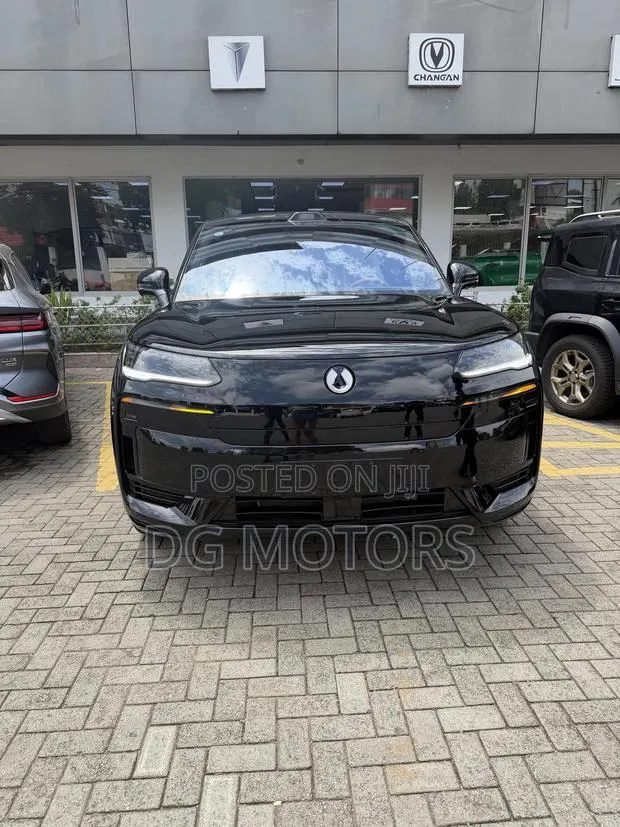New Denza N9 2.0 Hybrid AWD 2025 Black · Photo 1