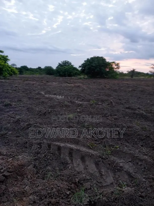 Fertile Farmland for Lease or Buy · Photo 1