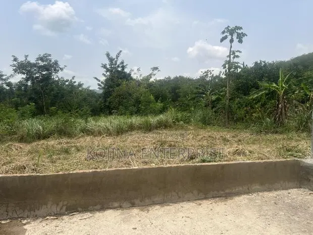 Affordable Half Plot for Sale at Borefrodu Adumasa · Photo 1