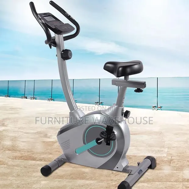 Panaseima Magnetic Exercise Bike