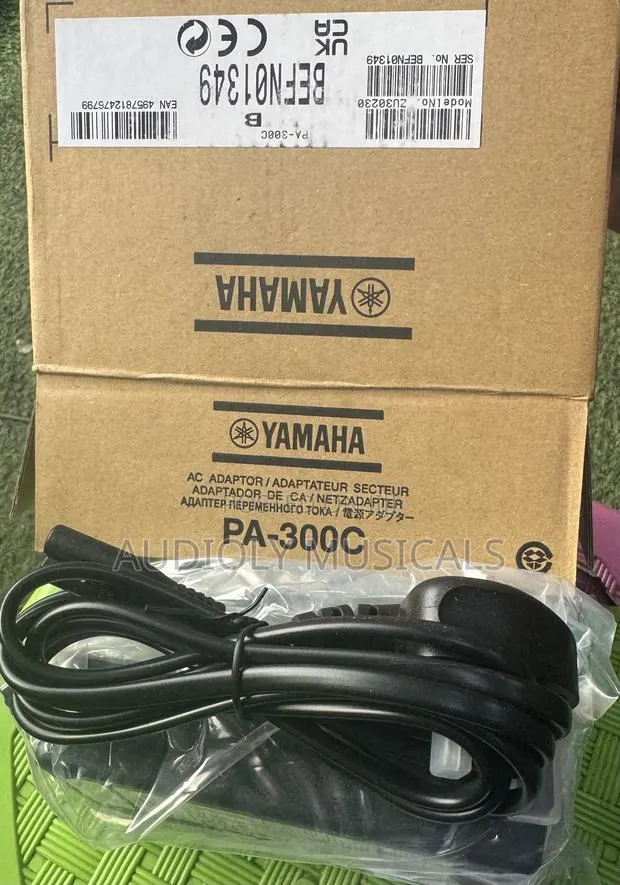 Yamaha Keyboard Adapter Pa-300c · Photo 1