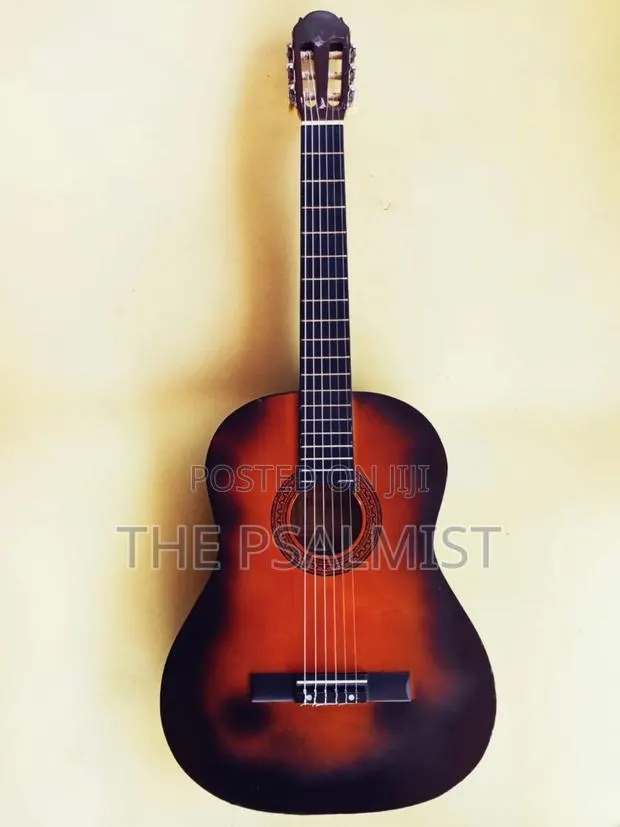 Paloma Pl 20 Classical Guitar · Photo 1
