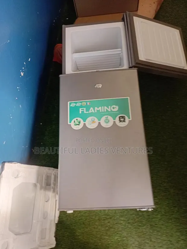 Flamino 80l Refrigerator – Perfect for Bedrooms Offices · Photo 1