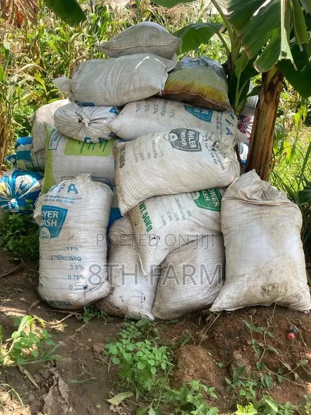 Chicken Manure · Photo 1
