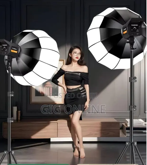 Professional Studio Flash Light With Softbox & Stand · Photo 2