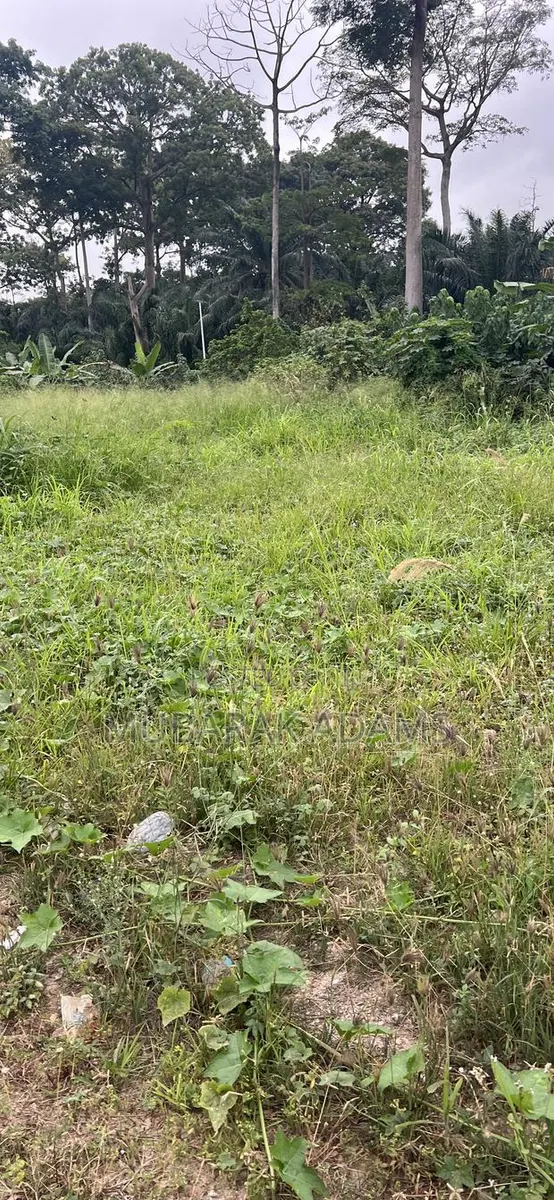 Bush Weeding · Photo 3
