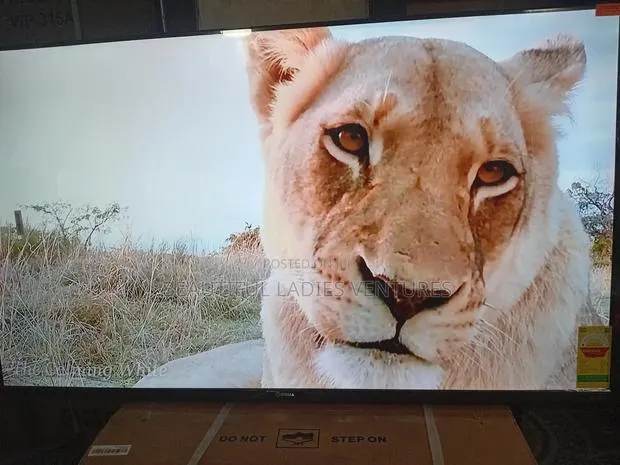 Sigma 55-Inch Tv – Powerful Performance Display · Photo 1
