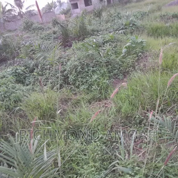 Plot for Sale at Mpatado · Photo 1