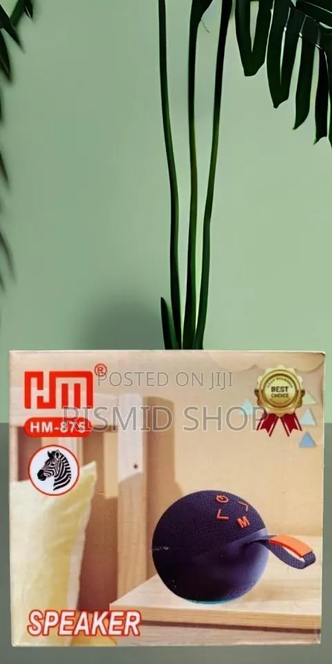 HM-875 Portable Wireless Speaker · Photo 1