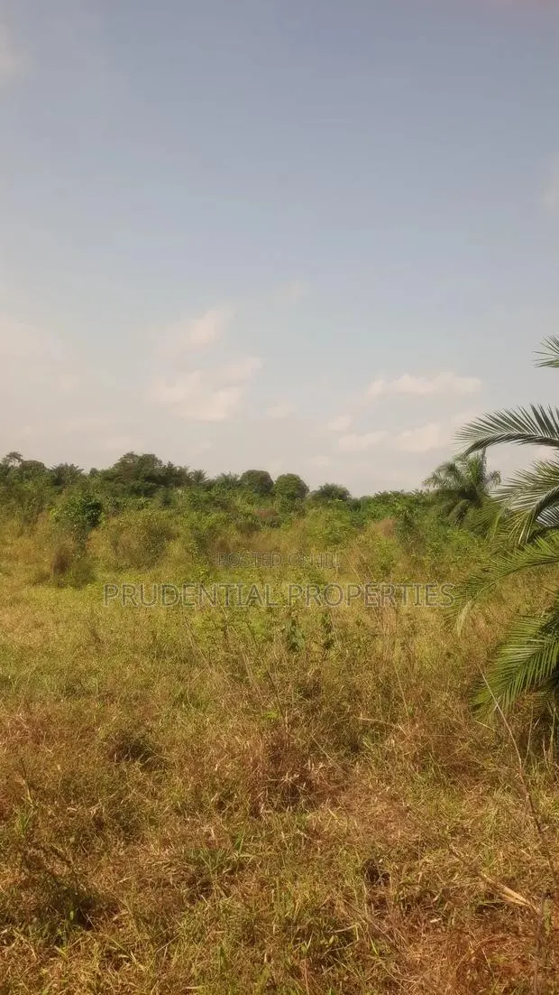 Land for Sale at Nsawam · Photo 1