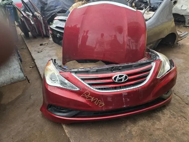 Front Cut 2014 Sonata · Photo 1