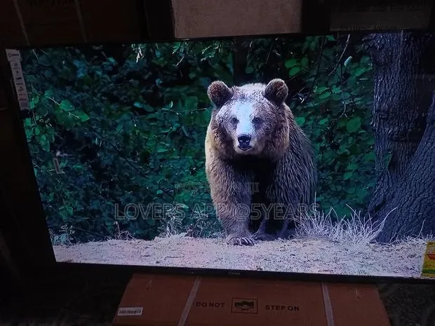 Sigma 55 " Led Tv, Astonishing Value · Photo 1
