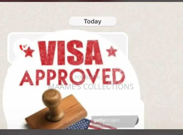 USA Visa Approved · Photo 1
