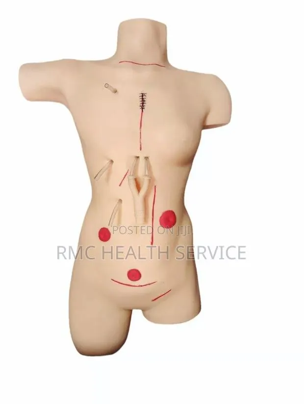 Surgical Suture and Bandage Model Manikin · Photo 1