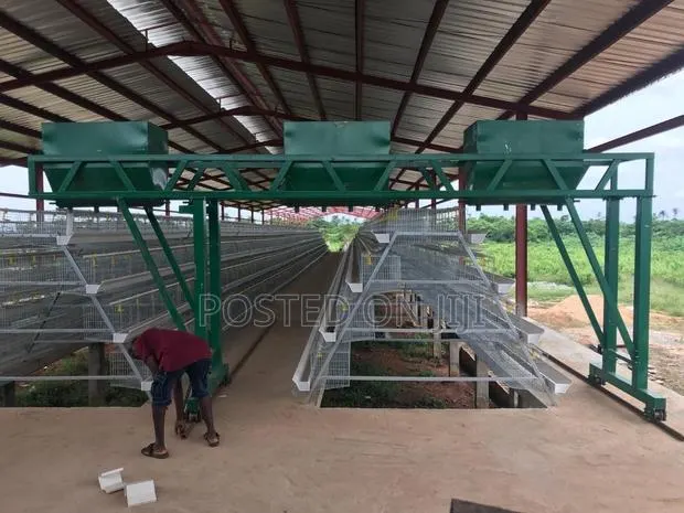 Poultry Cage/Layers/Chicken/Chicks · Photo 1