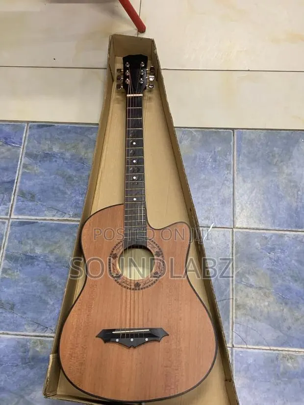 Professional Acoustic Guitar · Photo 1