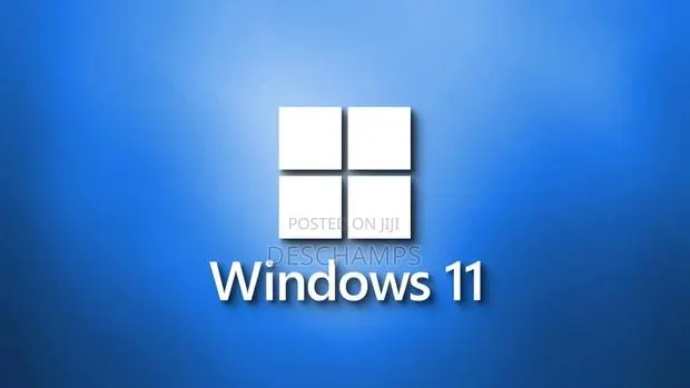Windows 11 Pro Full Installation · Photo 1