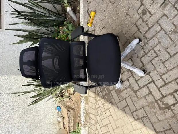 Ergonomic Office Chair · Photo 2