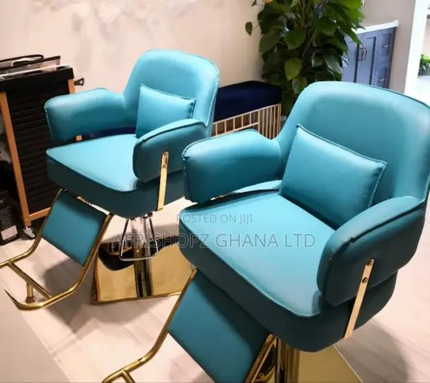 Salon Chairs · Photo 3