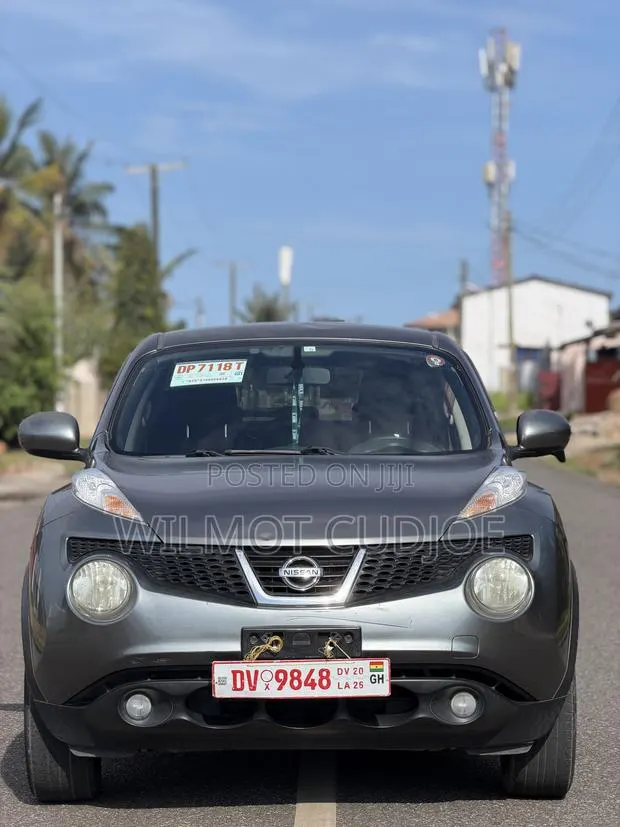 Nissan Juke 2012 Gray · Photo 1