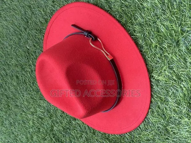 Fedora Hat for All Your Occasions · Photo 1