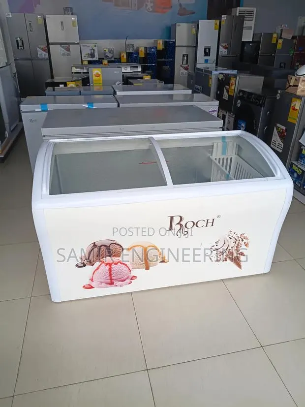 Roch Proview 458L Commercial Showcase Display Freezer · Photo 1