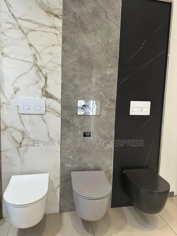 Concealed Watercloset_ Wall Mounted Wc · Photo 1
