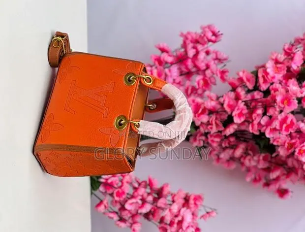 Ladies Beautiful Handbags · Photo 1