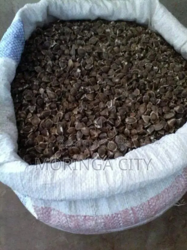Moringa Oleifera Seeds · Photo 1