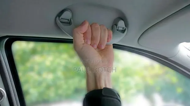 Interior Roof Ceiling Grab Handles (Assist Grips) · Photo 1