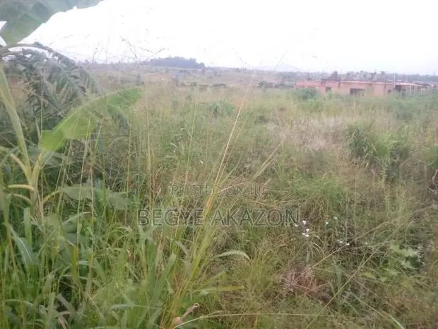 A Plot of Land for Sale at Amasaman Denhire · Photo 1