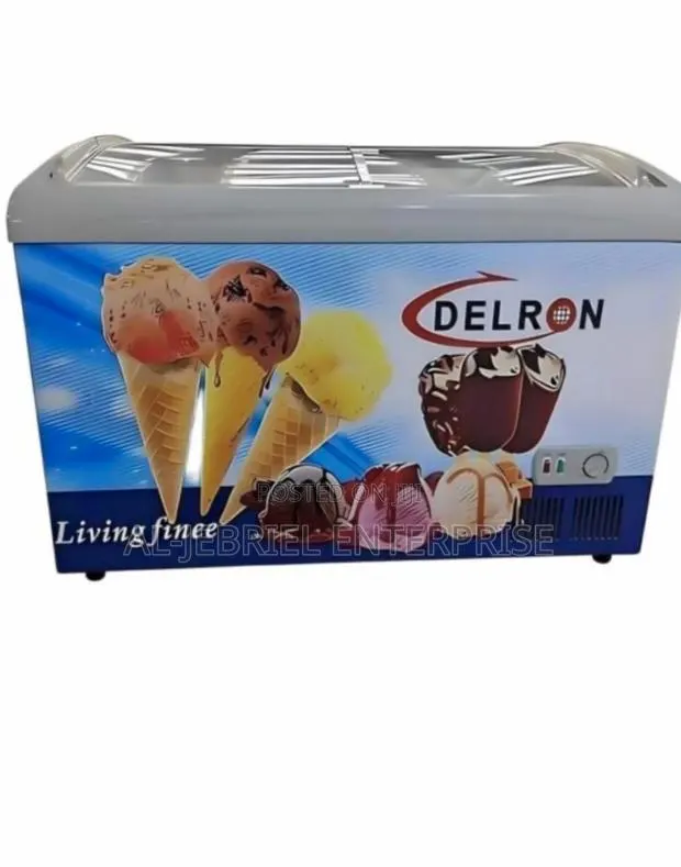 Delron 258l Display Freezer · Photo 1