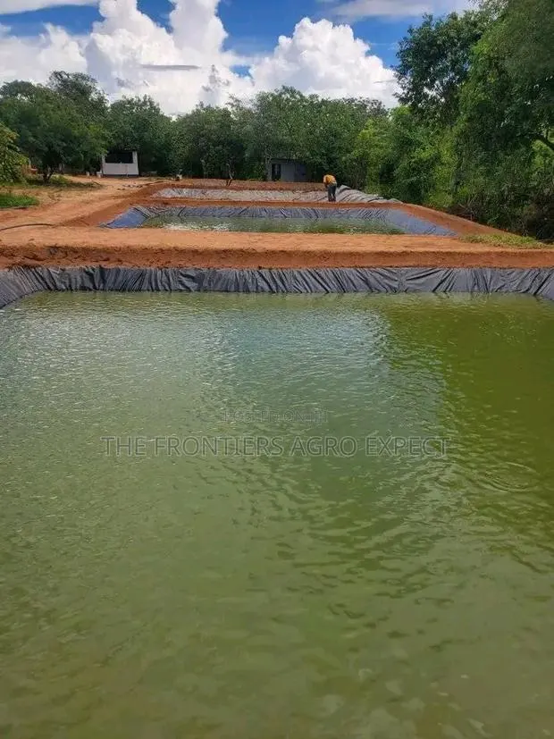 Earthen Pond for Catfish / Tilapia · Photo 1