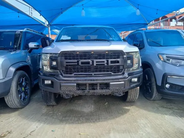 Ford F-150 2019 Gray · Photo 1