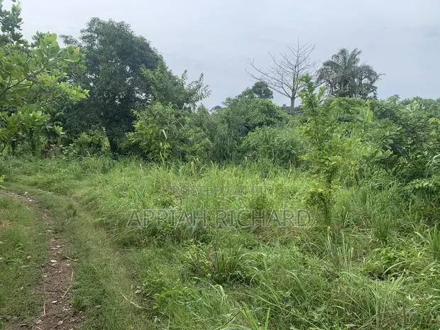 Land For Sale · Photo 1