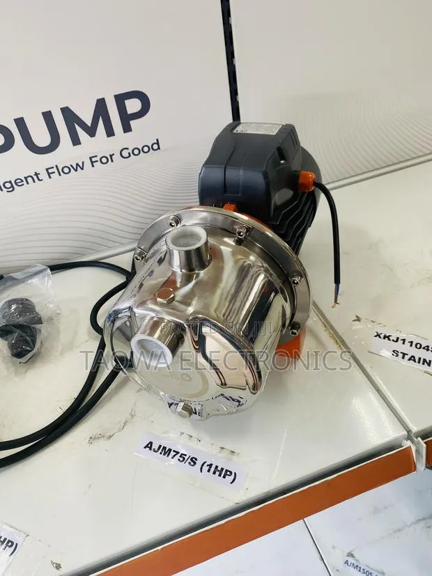 Shop Leo 1.0HP Ajm75s Stainless Pump · Photo 1