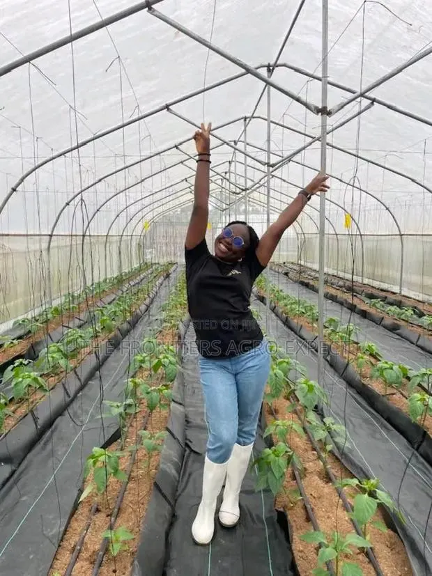 Commercial Greenhouse Farm · Photo 1