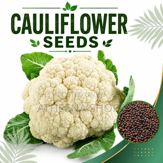 Organic Cauliflower Seeds · Photo 1