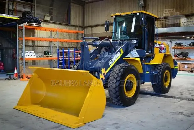 XCMG Wheel Loader · Photo 1
