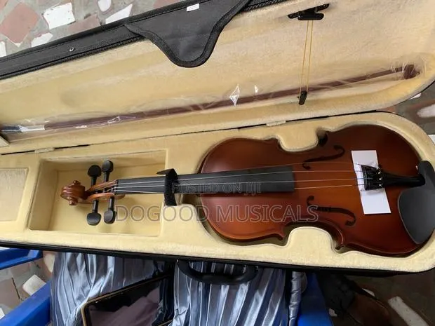 Violin With Gig Case(4/4) · Photo 1