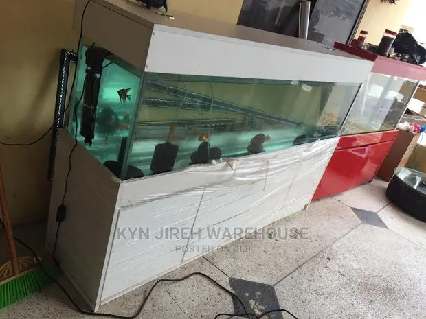 Aquarium Tank With Fishes · Photo 1
