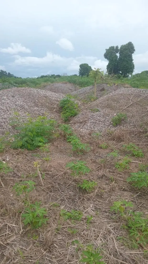 Estate Plots of Land for Sale at Kasoa Adawukwa · Photo 1