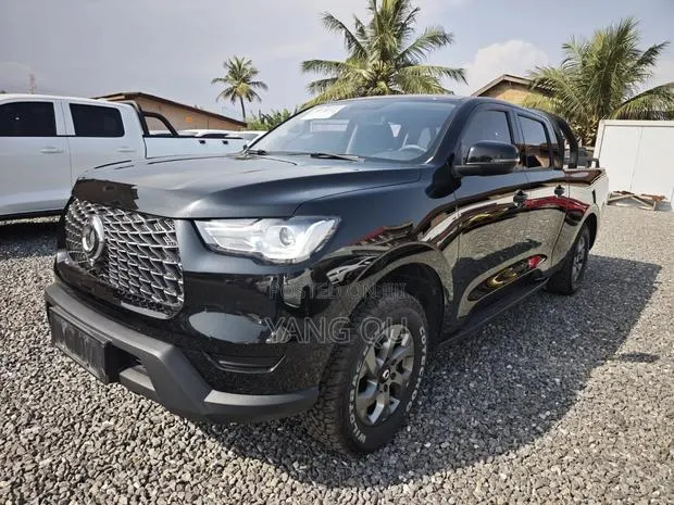 Great Wall Poer Deluxe 2022 Black · Photo 1