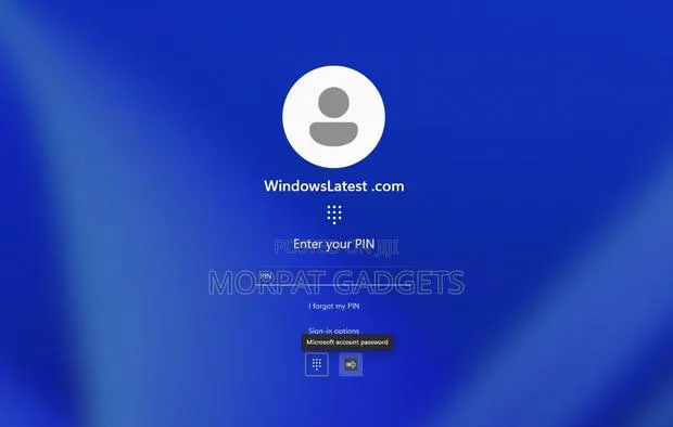 Bypass Your Windows 11 Login Password (Instant Service) · Photo 1