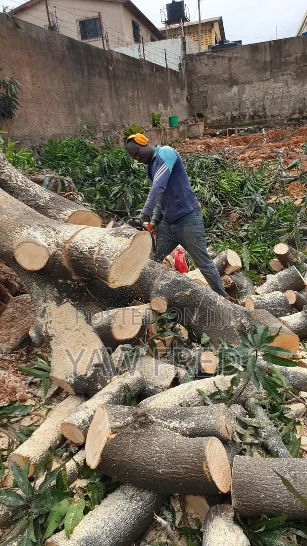 Chainsaw Operation · Photo 1